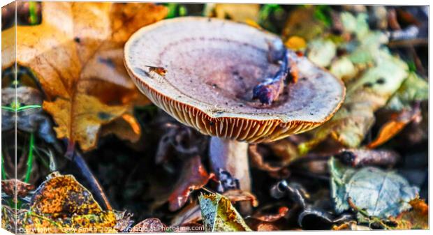 Bug on Fungi in the Woods Canvas Print by GJS Photography Artist