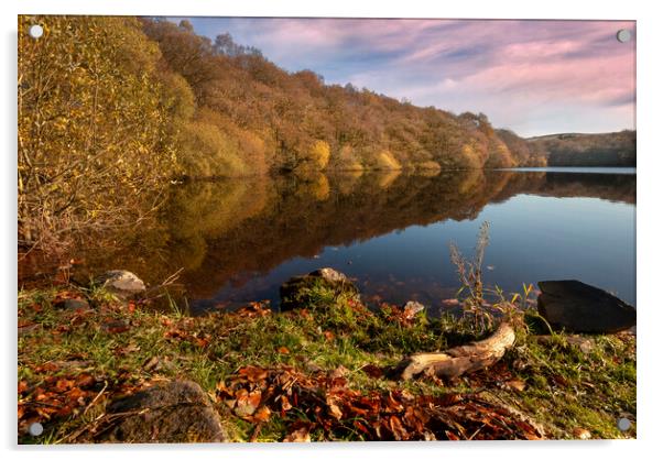 Autumn on the lake Acrylic by Eddie John