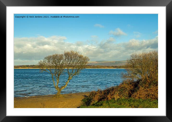 The solitary tree at Kenfig Pool south Wales Framed Mounted Print by Nick Jenkins