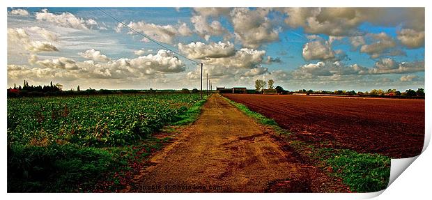 The Country Track Print by Caroline Williams