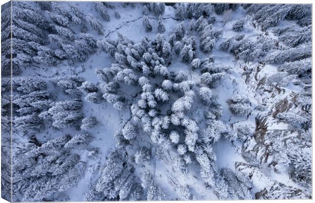 Snow capped fir trees in winter - view from above Canvas Print by Erik Lattwein