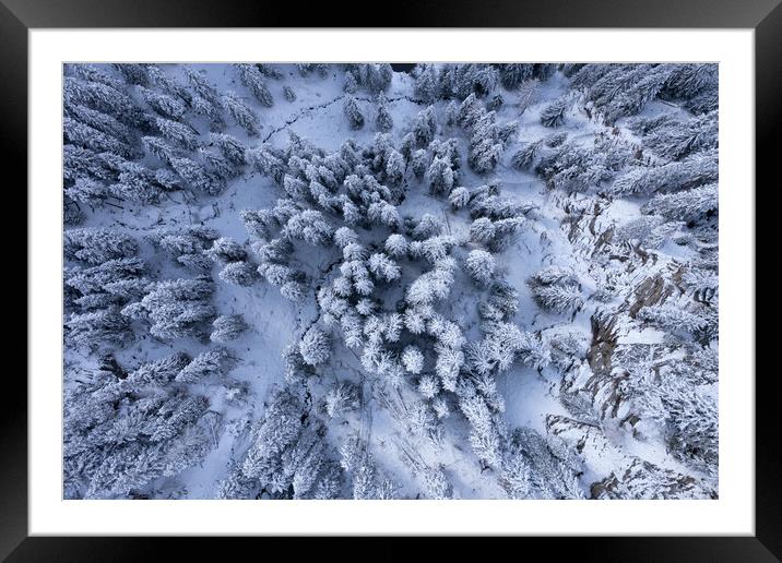 Snow capped fir trees in winter - view from above Framed Mounted Print by Erik Lattwein