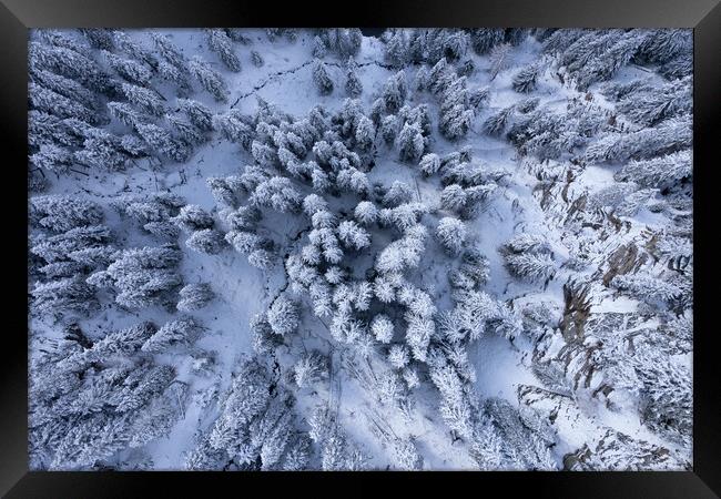 Snow capped fir trees in winter - view from above Framed Print by Erik Lattwein