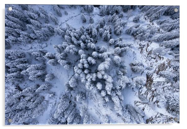 Snow capped fir trees in winter - view from above Acrylic by Erik Lattwein