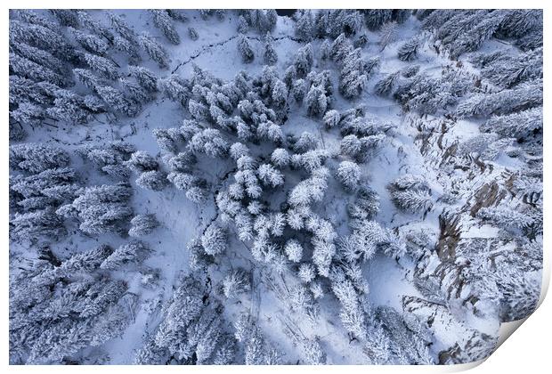 Snow capped fir trees in winter - view from above Print by Erik Lattwein