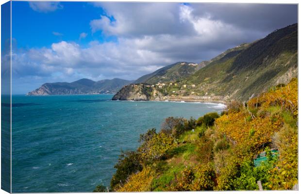 Beautiful coast of Cinque Terre in Italy on a sunny day Canvas Print by Erik Lattwein