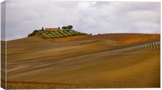 Typical rural fields and landscape in Tuscany Italy Canvas Print by Erik Lattwein