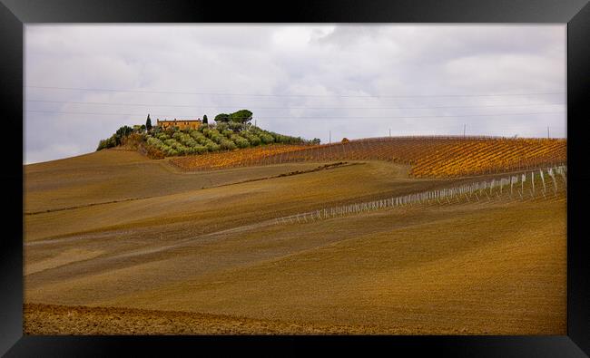 Typical rural fields and landscape in Tuscany Italy Framed Print by Erik Lattwein