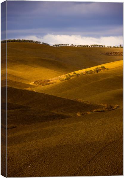 Typical view in Tuscany - the colorful rural fields and hills Canvas Print by Erik Lattwein