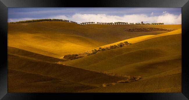 Typical view in Tuscany - the colorful rural fields and hills Framed Print by Erik Lattwein