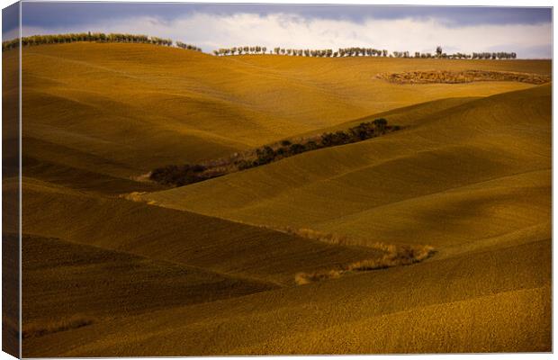 Typical view in Tuscany - the colorful rural fields and hills Canvas Print by Erik Lattwein