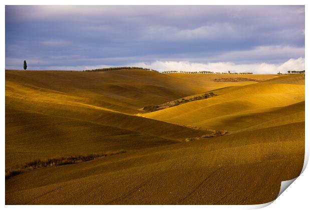 Wonderful Tuscan fields in autumn - beautiful Tuscany Italy Print by Erik Lattwein