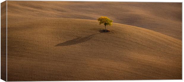 Typical rural fields and landscape in Tuscany Italy Canvas Print by Erik Lattwein