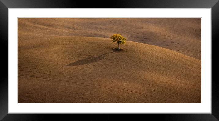 Typical rural fields and landscape in Tuscany Italy Framed Mounted Print by Erik Lattwein