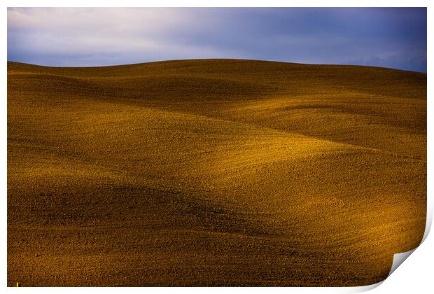 Typical rural fields and landscape in Tuscany Italy Print by Erik Lattwein