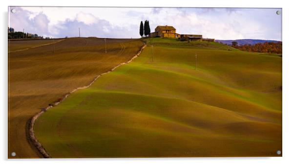 Typical rural fields and landscape in Tuscany Italy Acrylic by Erik Lattwein