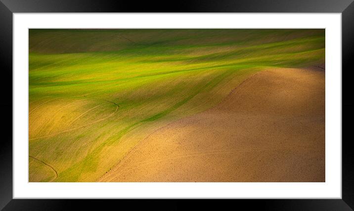 Grass and desert Framed Mounted Print by Erik Lattwein