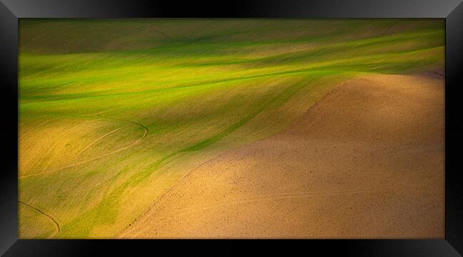 Grass and desert Framed Print by Erik Lattwein