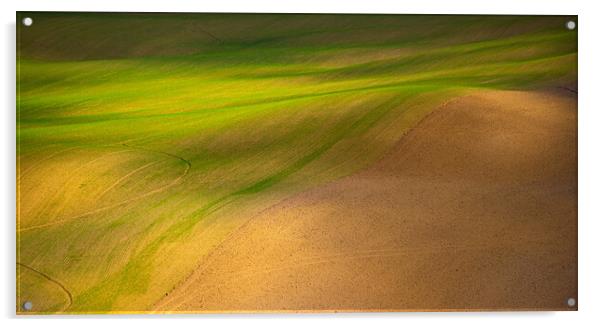Grass and desert Acrylic by Erik Lattwein