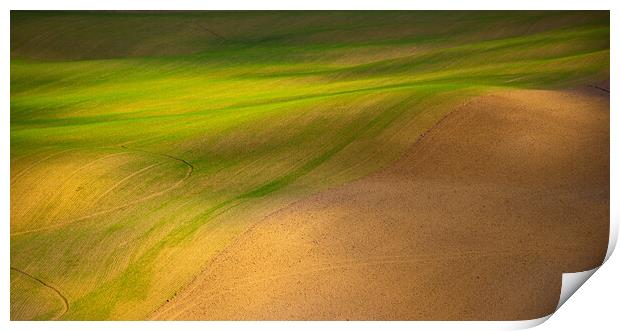 Grass and desert Print by Erik Lattwein
