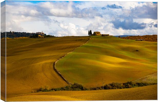 Colorful Tuscany in Italy - the typical landscape and rural fiel Canvas Print by Erik Lattwein
