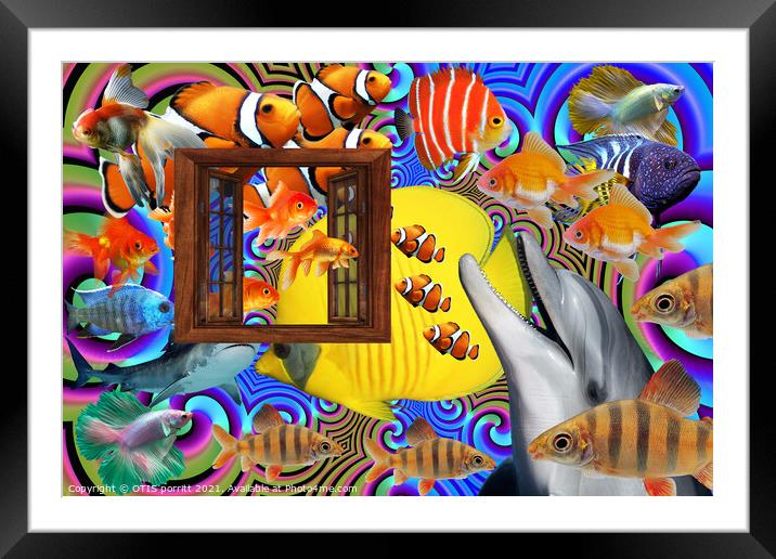 OUTSIDE THE WINDOW-SWIMMING WITH FISHES 2 Framed Mounted Print by OTIS PORRITT