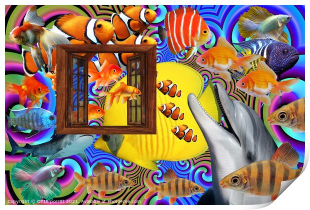OUTSIDE THE WINDOW-SWIMMING WITH FISHES 2 Print by OTIS PORRITT