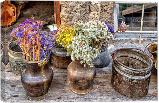 Dried flowers in urns Canvas Print by Kevin Hellon