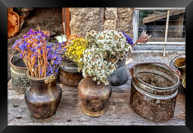 Dried flowers in urns Framed Print by Kevin Hellon
