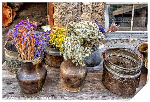 Dried flowers in urns Print by Kevin Hellon