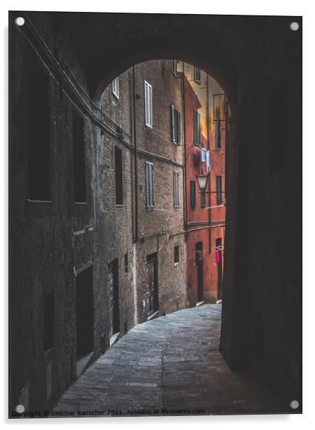 Old Alley in Siena, Via del Luparello Acrylic by Dietmar Rauscher