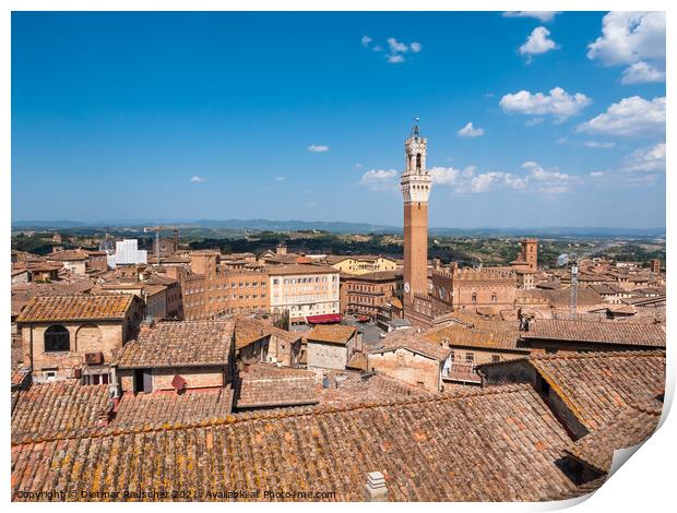 Piazza Il Campo in Siena Aerial Print by Dietmar Rauscher