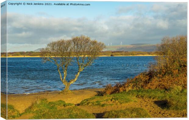 A solitary tree on the edge of Kenfig Pool  Canvas Print by Nick Jenkins