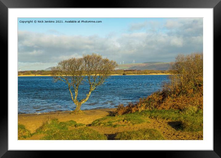 A solitary tree on the edge of Kenfig Pool  Framed Mounted Print by Nick Jenkins