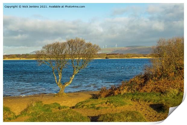 A solitary tree on the edge of Kenfig Pool  Print by Nick Jenkins