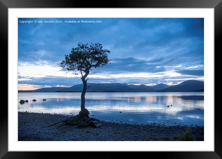 Lone Tree at Milarrochy Bay - Loch Lomond Scotland Framed Mounted Print by Iain Gordon