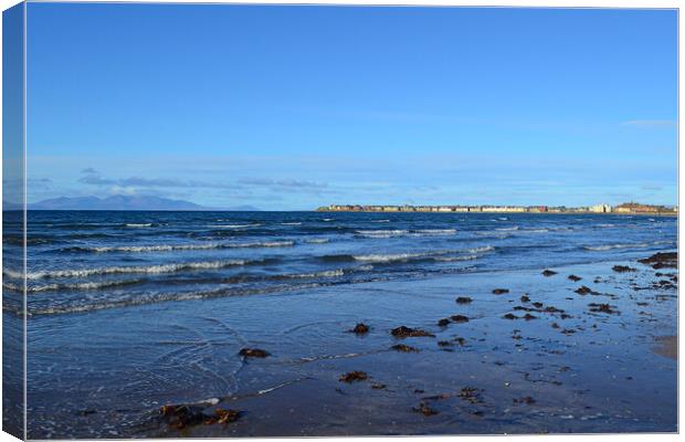 Troon seafront and Arran Canvas Print by Allan Durward Photography