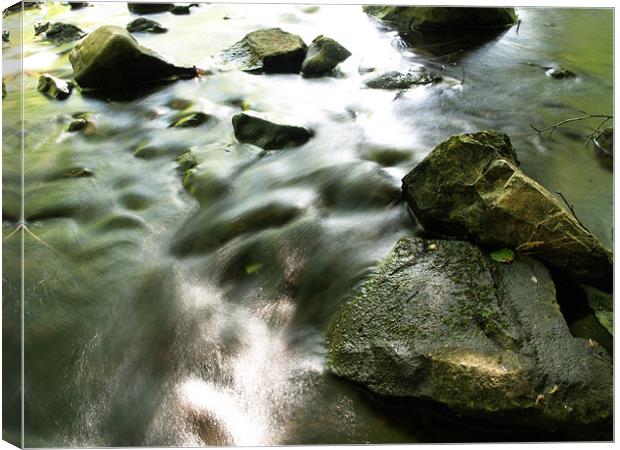 The river Roe face down Canvas Print by William Coulthard