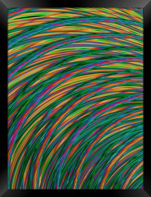 Candy Stripe Hair Framed Print by Glen Allen