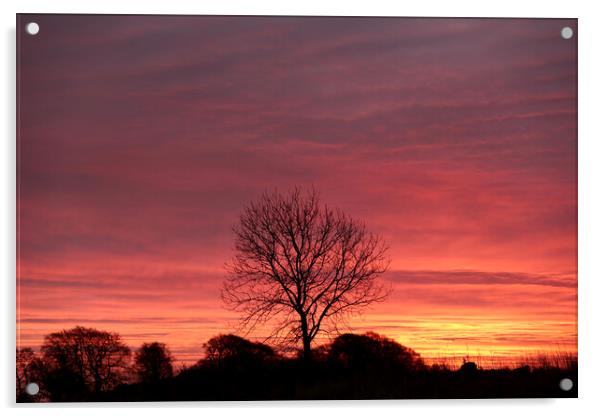 Sunrise sky Acrylic by Simon Johnson