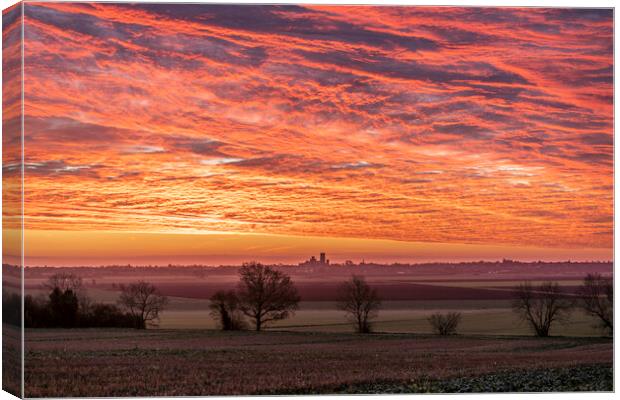Pre-dawn over Ely, Cambridgeshire Canvas Print by Andrew Sharpe