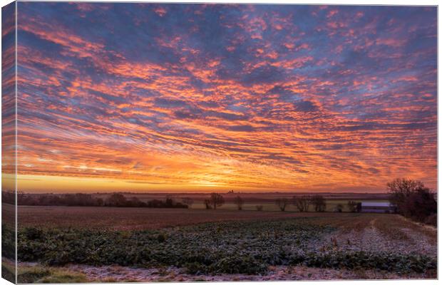 Pre-dawn over Ely, Cambridgeshire Canvas Print by Andrew Sharpe