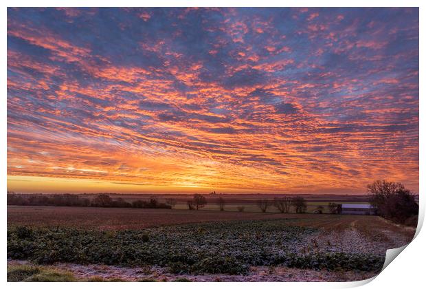 Pre-dawn over Ely, Cambridgeshire Print by Andrew Sharpe