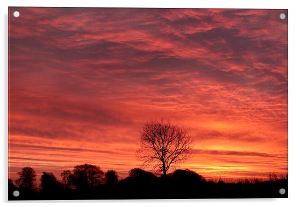 Cotswold Sunrise Acrylic by Simon Johnson