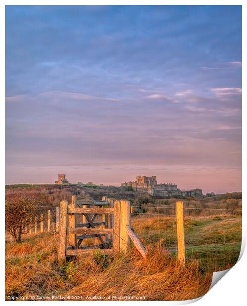 Dover castle - The gate #2 Print by James Eastwell