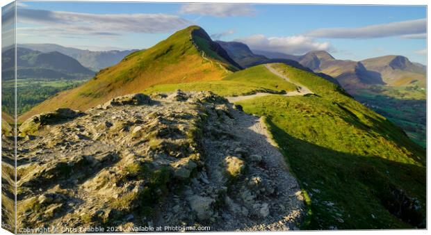 Catbells from Skelgill Bank at first light Canvas Print by Chris Drabble