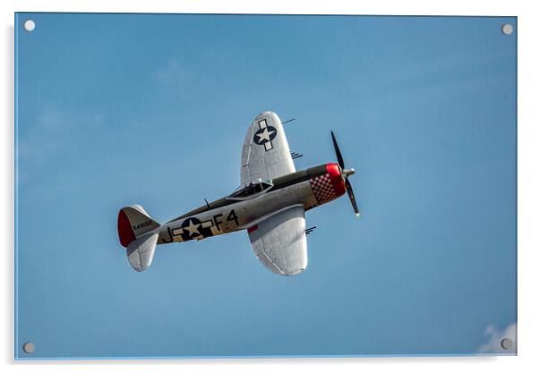 Republic P-47D Thunderbolt Acrylic by Derek Beattie