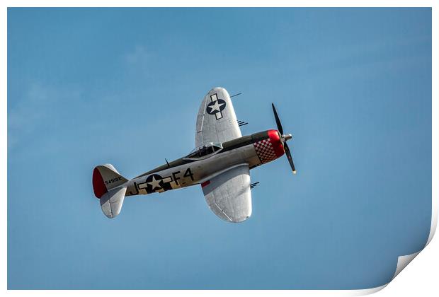 Republic P-47D Thunderbolt Print by Derek Beattie