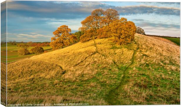 Robin Hood's Hill in warm Autumn light Canvas Print by Chris Drabble