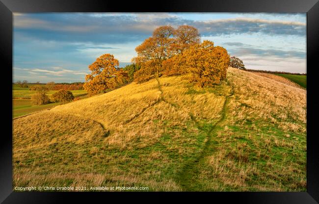 Robin Hood's Hill in warm Autumn light Framed Print by Chris Drabble